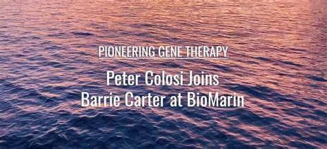 BioMarin Pharmaceutical Inc. on LinkedIn: Gene therapy research is an exciting opportunity to ...