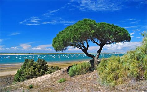 Top 10 Beaches in Huelva Spain - Helios7.com