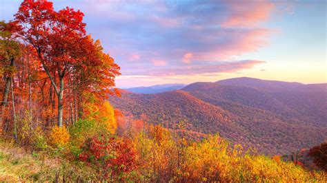 Landscape View Of Autumn Trees Covered Mountains Under Cloudy Blue Sky ...