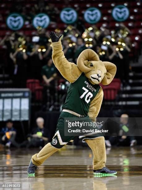 184 Colorado State Rams Mascot Stock Photos, High-Res Pictures, and ...