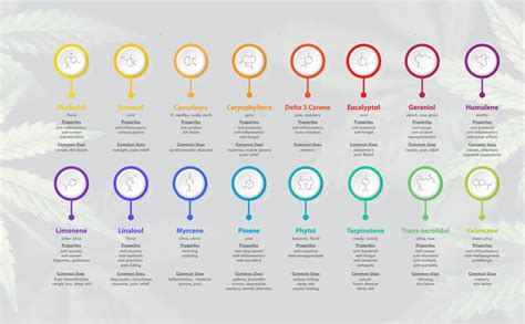 Terpenes Chart