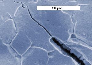 Corrosion fatigue