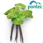 Artificial Pond Plants - Water Gardening Direct