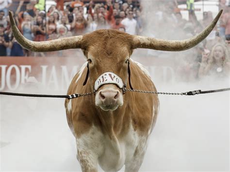 VIDEO: Texas Longhorns Mascot Charges Georgia's Bulldog | NCPR News