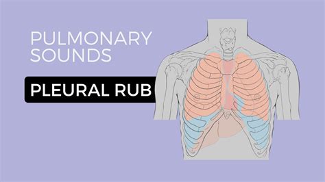 05 _ Lung Sounds - Pleural friction rub 🎧 - YouTube