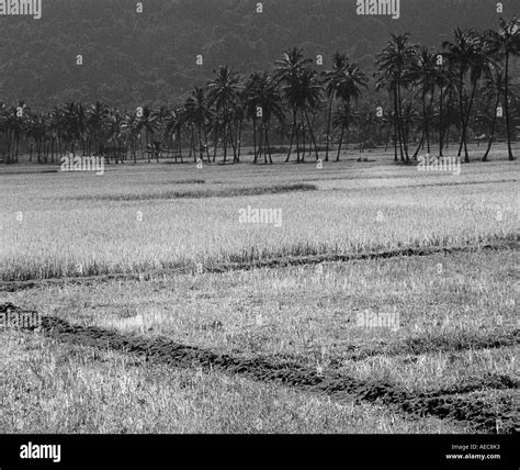 Move to the countryside Black and White Stock Photos & Images - Alamy