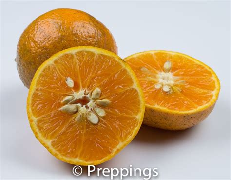 Honey Tangerine - Preppings | Citrus fruit, Fruit, Dessert dishes