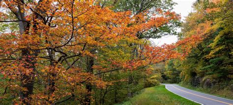 Visit Shenandoah Valley - 10 Perfect Places to See Fall Foliage in the ...