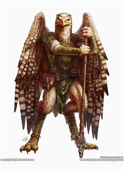 The DOODLES, DESIGNS, and aRT of CHRISTOPHER BURDETT: Dungeon & Dragons Monster Manual - Aarakocra