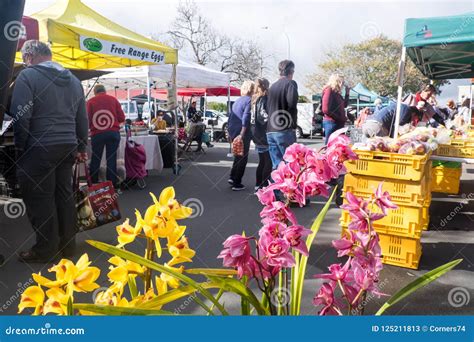 Kerikeri, New Zealand, NZ - August 26, 2018: Shoppers and Stalls ...