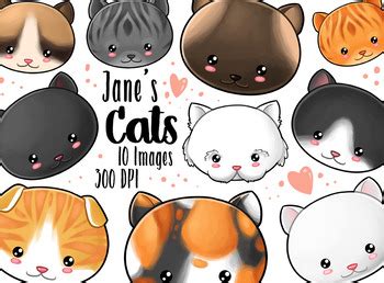 Kawaii Cat Faces Clipart by Digitalartsi | Teachers Pay Teachers