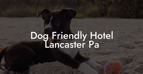 Dog Friendly Hotel Lancaster PA - Dog Hotels