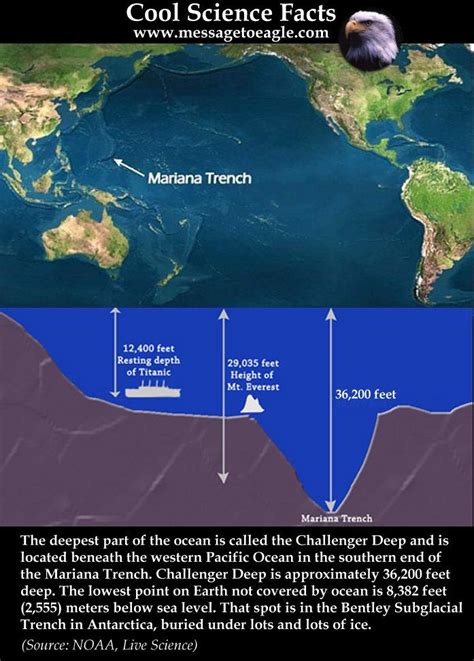 Mariana Trench: Deepest Part Of The World’s Oceans | MessageToEagle.com | Marianas trench, Ocean ...