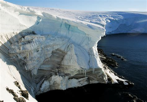 Melting Antarctic Glaciars Has Also Some Positive Effects | Science Times