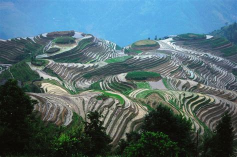 Picture of the Day: The Longsheng Rice Terraces of China » TwistedSifter