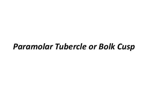 15.paramolar tubercle or bolk cusp