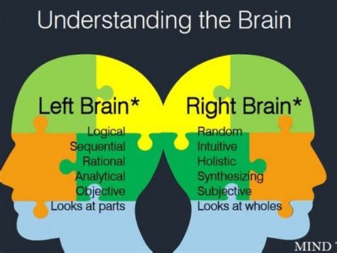 Midbrain activation Franchise & Software - Mind Tech