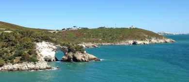 Group Activity by Boat discovering the Gargano Coast and Caves