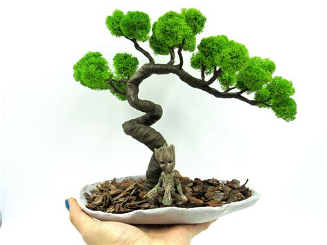 Zen Garden With Bonsai Tree – Zerkalovulcan