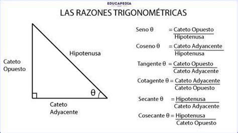 pensamiento matematico