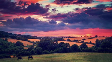 Sunset clouds landscapes nature trees animals fields hills Ireland horses Flora plains irish ...