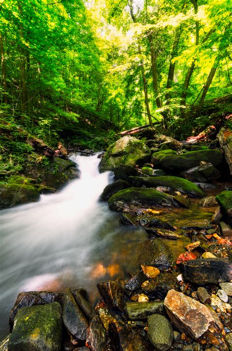 Amicalola Falls State Park - Travel Noob