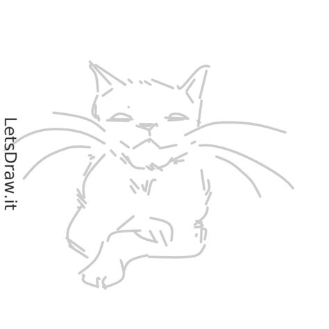 How to draw cat whiskers / xcc5cyu9p.png / LetsDrawIt