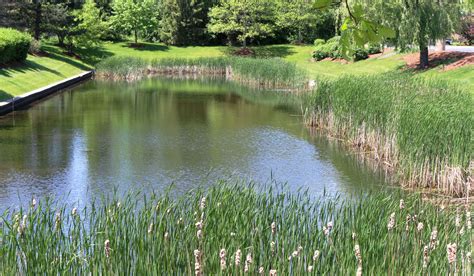 Retention Pond Maintenance Time | Pond maintenance, Retention pond, Pond landscaping