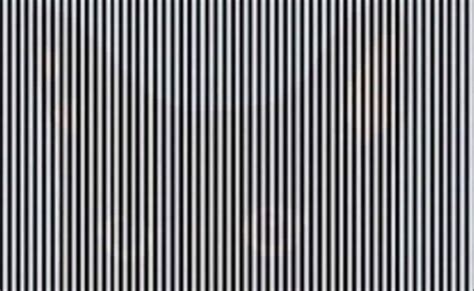 Can You Spot The Animal Hidden In This Bizarre Optical Illusion Going ...