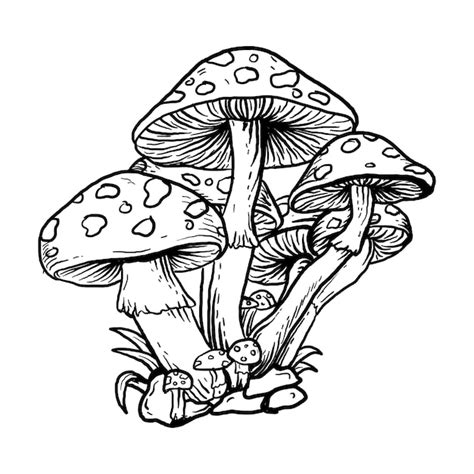 Mushroom Tattoo Images - Free Download on Freepik