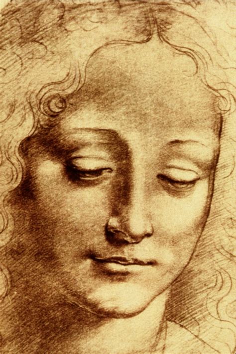 File:Teste di Giovinetta - Leonardo da Vinci.png - Wikimedia Commons