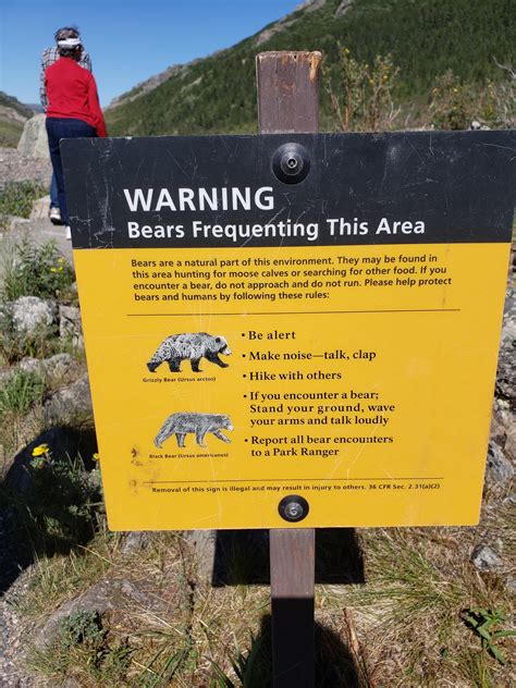 At a hiking trail in Denali Alaska : r/ScarySigns