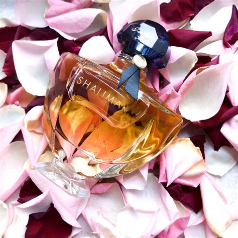 SHALIMAR EDT - Exclusive Lines : Fragrances | Beauty | Niche