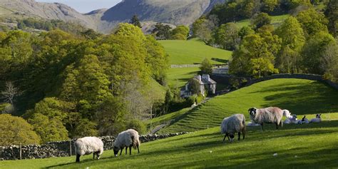 11 Photos of English Country Cottages That Make Us Want One Right Now ...