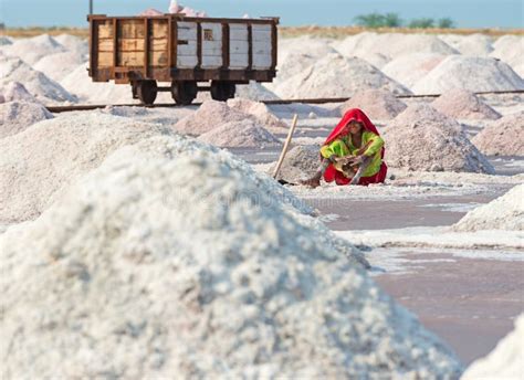 Salt Collecting in Salt Farm, India Editorial Photo - Image of person, india: 28490111