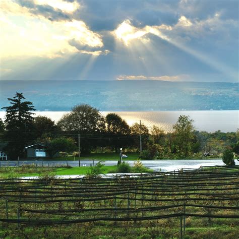 Seneca Lake Wine Country: Exploring the Best 20 Wineries!