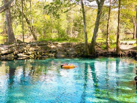 Tips For Ginnie Springs: A Perfect Florida Oasis - Florida Trippers