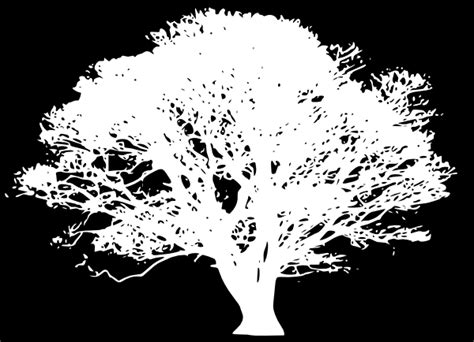 White Tree Silhouette On Black Clip Art at Clker.com - vector clip art online, royalty free ...