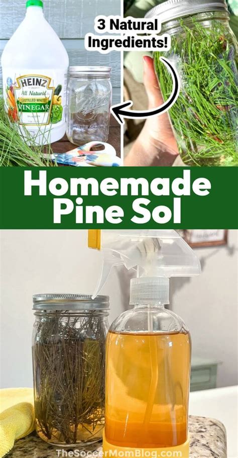 DIY Pine Needle Cleaner (Homemade Pine Sol) - The Soccer Mom Blog