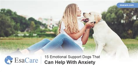 15 Emotional Support Dogs That Can Help With Anxiety - ESA Care