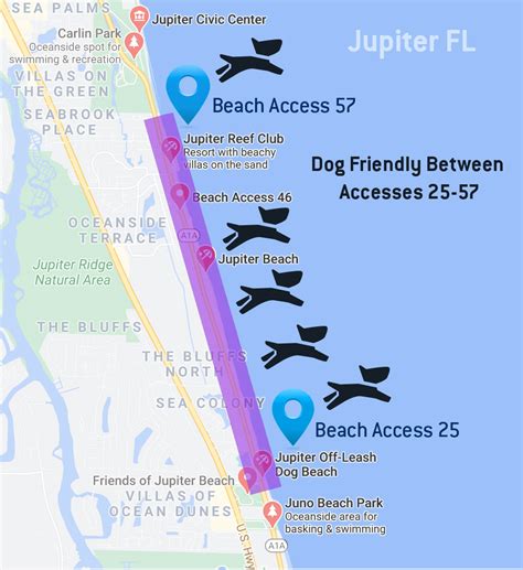 Dog Friendly Beaches in Jupiter Florida - Tequesta Vet Clinic