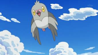 Pidove - Pokedex Guide - IGN