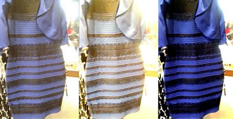 What the Blue/Black/White/Gold Dress Tells Us About How We View Color | Jerry's Artarama