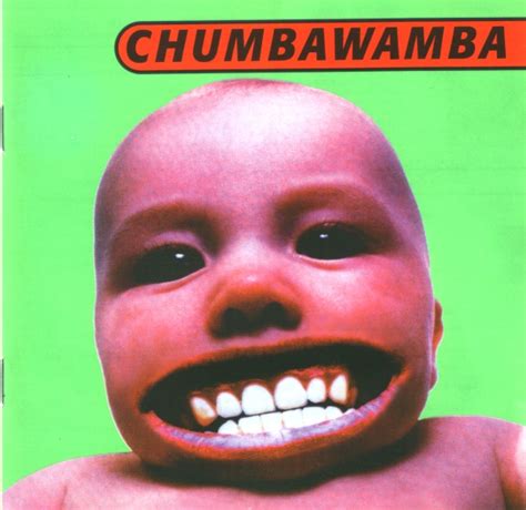 Negativland X Chumbawamba = The ABC's Of Anarchism - Daddy Types