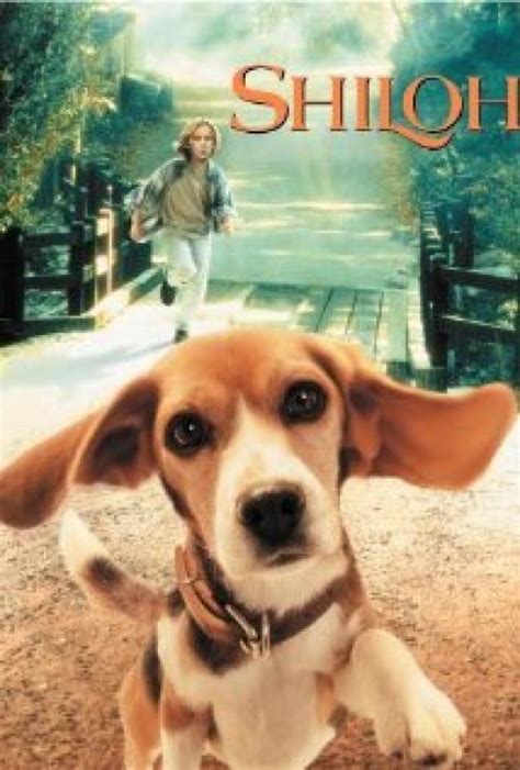 Shiloh (1997) Starring: Scott Wilson, Blake Heron, Bonnie Bartlett - Three Movie Buffs Review