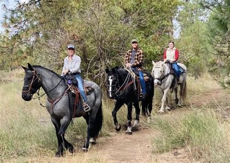 Spokane Trail Rides