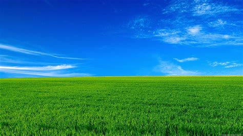 Grassland Wallpapers - Top Free Grassland Backgrounds - WallpaperAccess