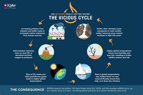 Are wildfires increasing or decreasing? | IQAir