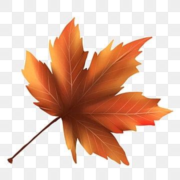 Maple Leaves Falling PNG Image, Maple Leaves Falling, Maple, Autumn, Leaf PNG Image For Free ...