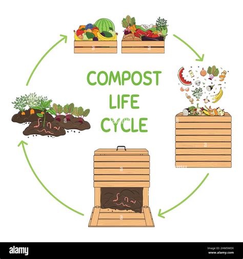 Compost life circle infographic. Composting process. Schema of ...